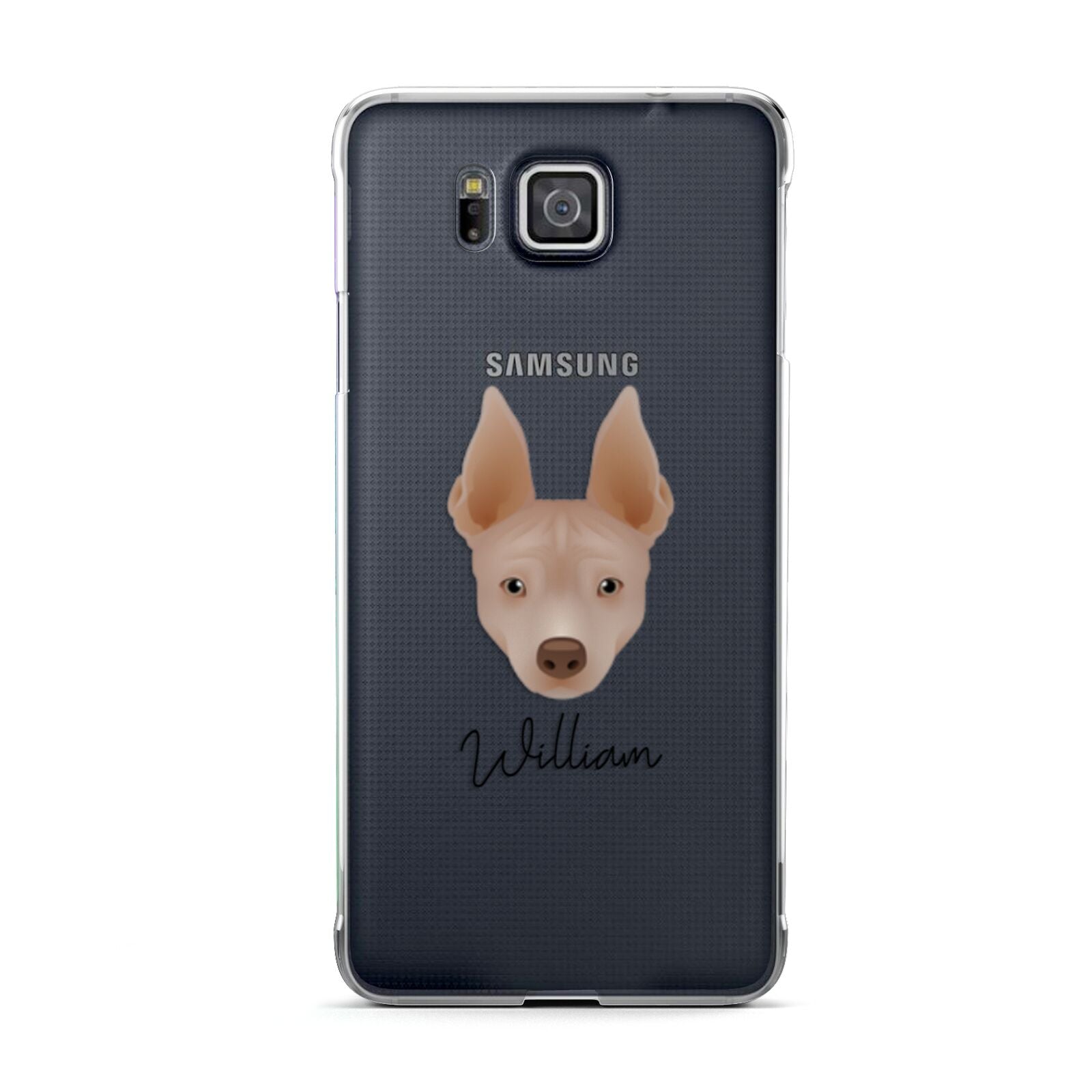 American Hairless Terrier Personalised Samsung Galaxy Alpha Case
