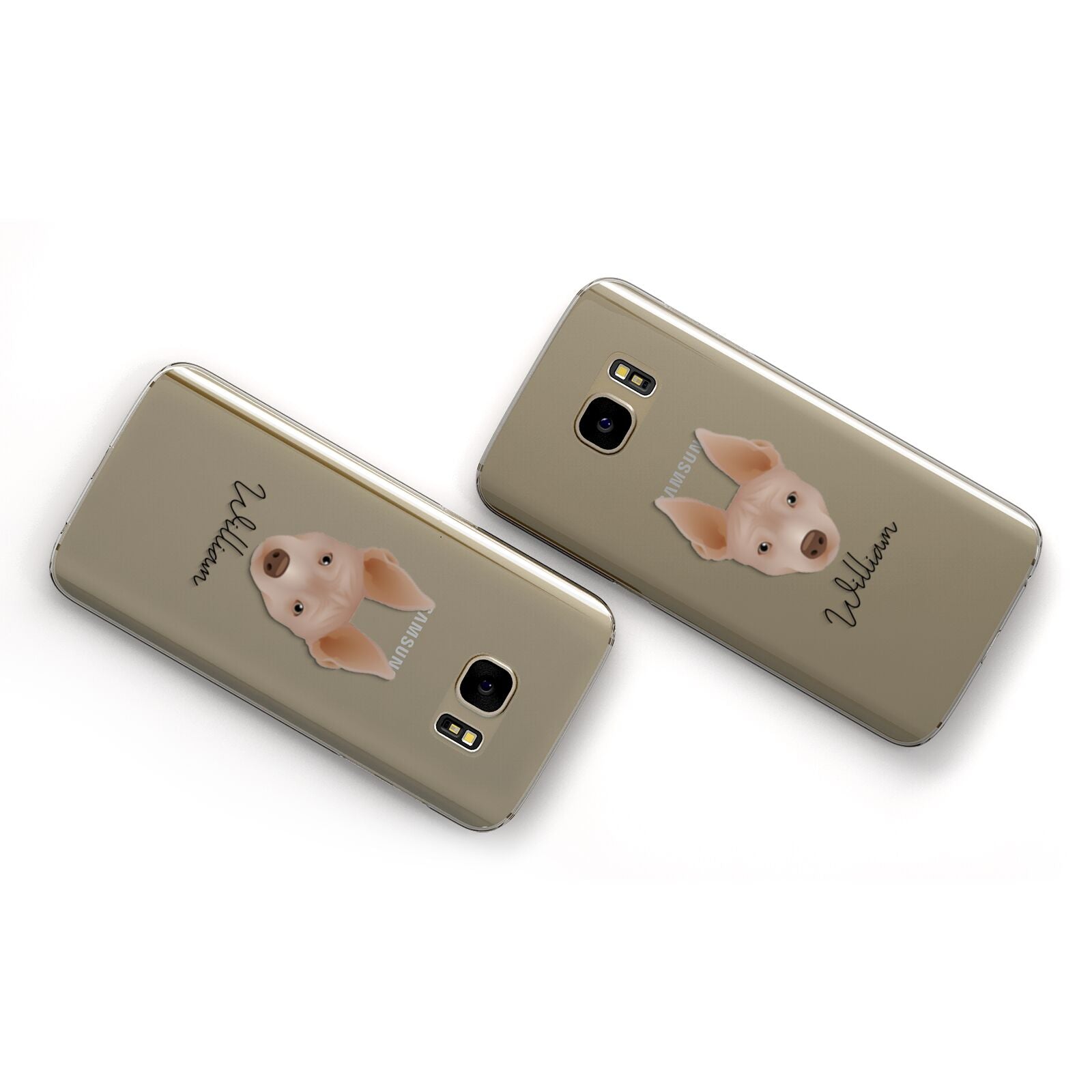 American Hairless Terrier Personalised Samsung Galaxy Case Flat Overview