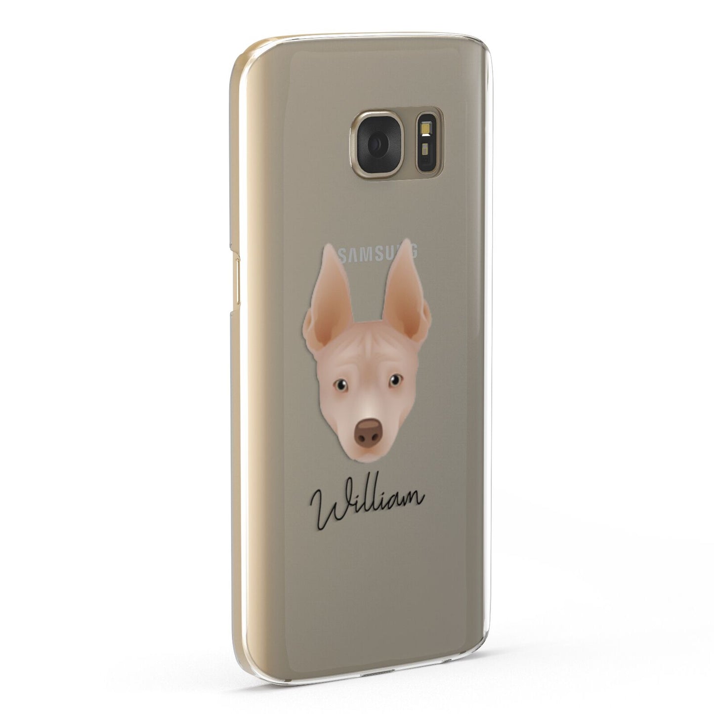 American Hairless Terrier Personalised Samsung Galaxy Case Fourty Five Degrees