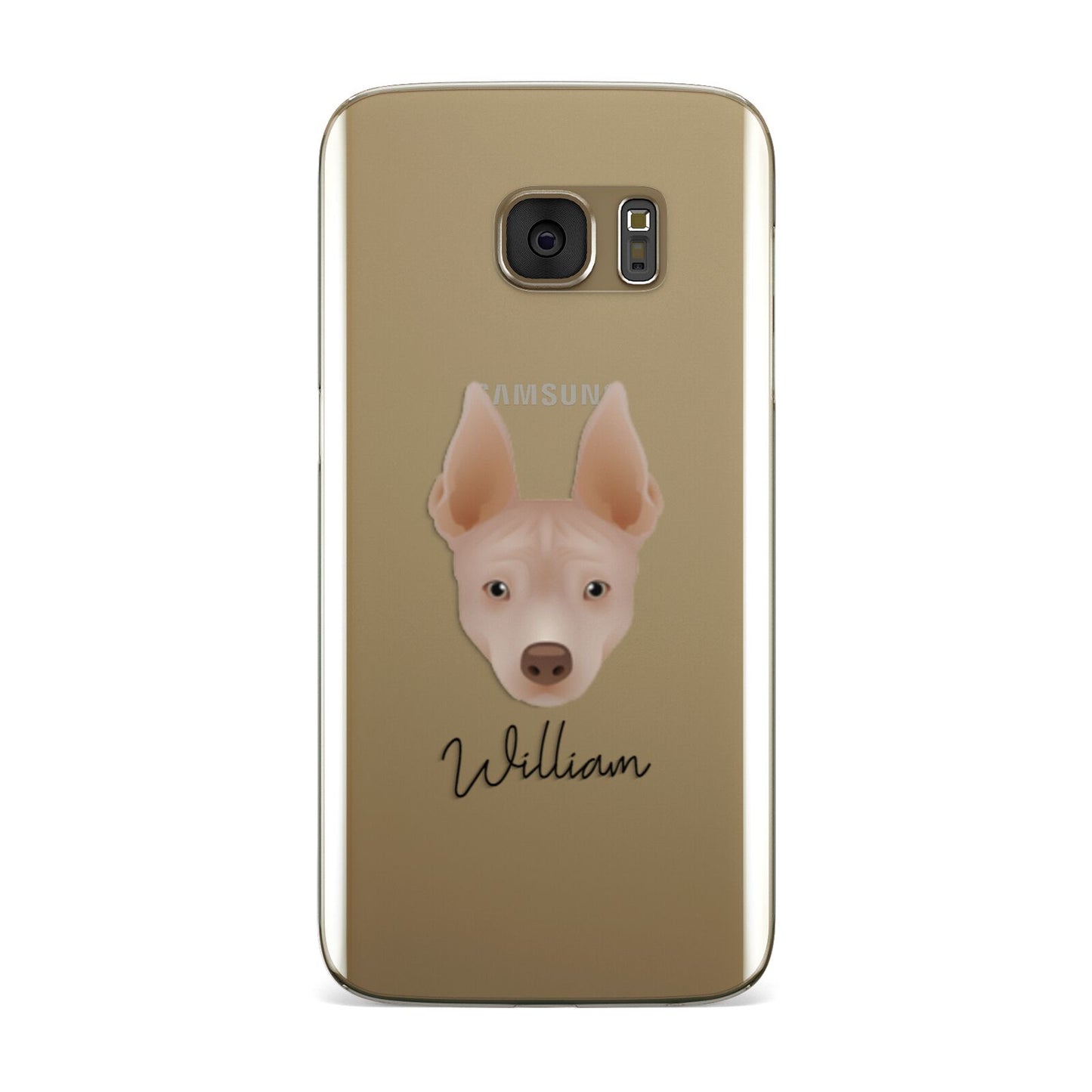 American Hairless Terrier Personalised Samsung Galaxy Case
