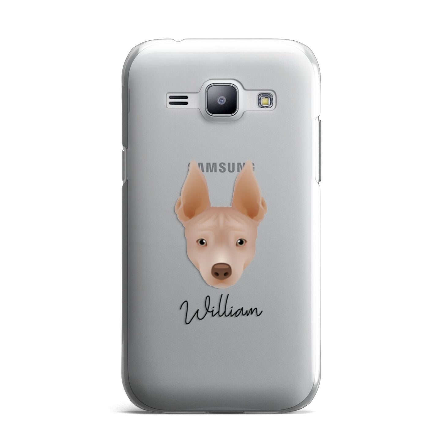 American Hairless Terrier Personalised Samsung Galaxy J1 2015 Case