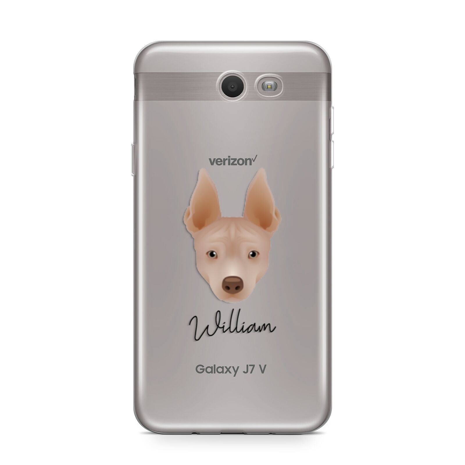 American Hairless Terrier Personalised Samsung Galaxy J7 2017 Case