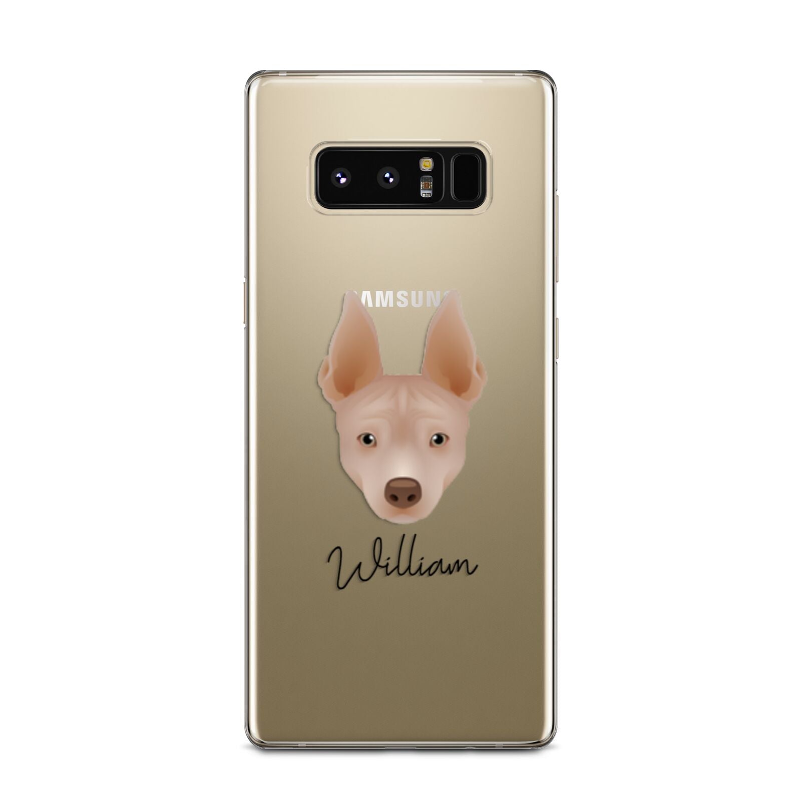 American Hairless Terrier Personalised Samsung Galaxy Note 8 Case