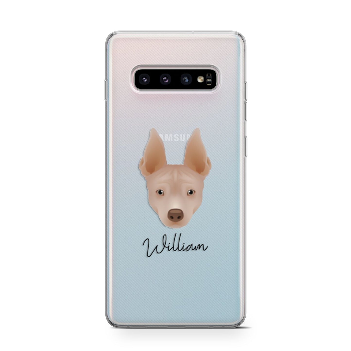 American Hairless Terrier Personalised Samsung Galaxy S10 Case