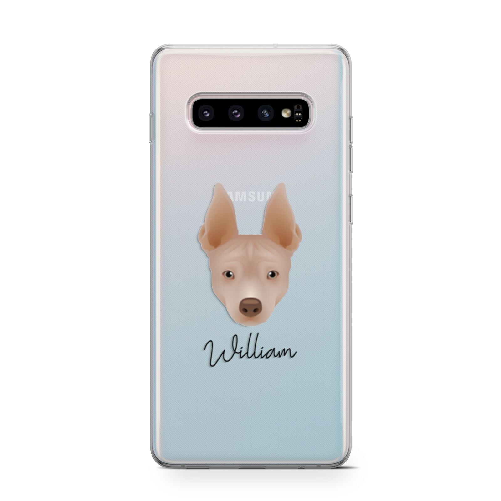 American Hairless Terrier Personalised Samsung Galaxy S10 Case