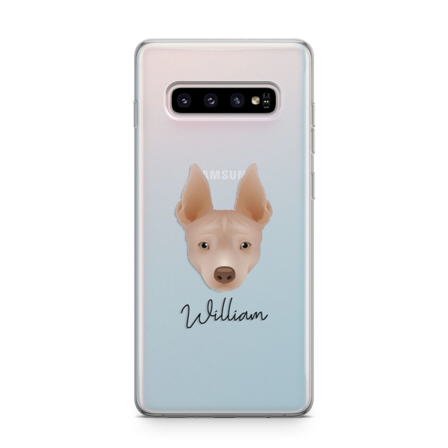 American Hairless Terrier Personalised Samsung Galaxy S10 Plus Case