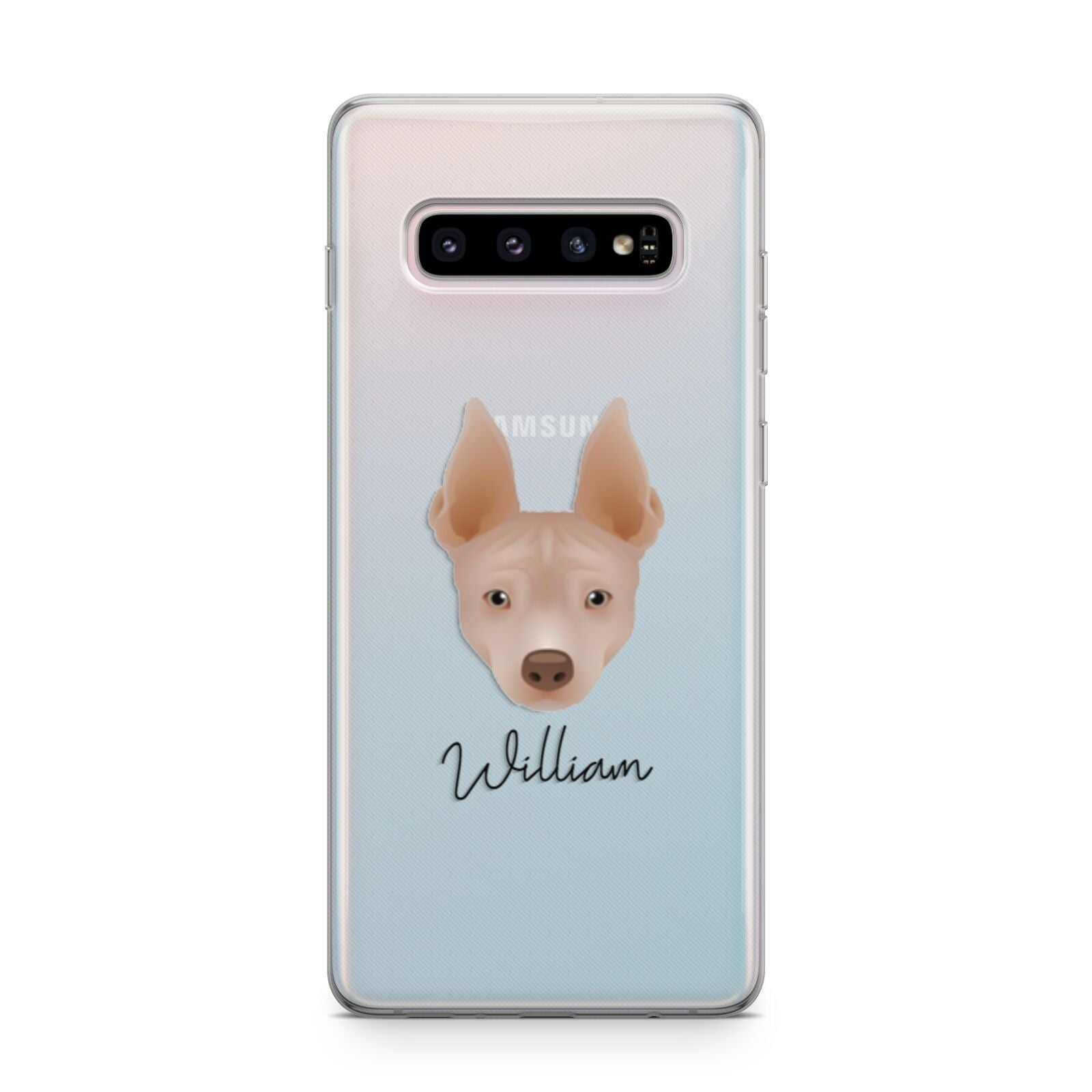 American Hairless Terrier Personalised Samsung Galaxy S10 Plus Case
