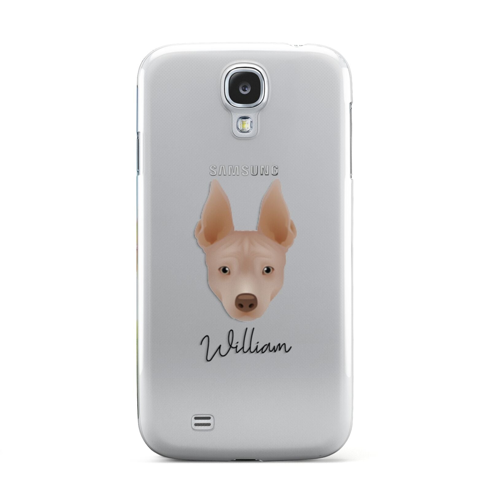 American Hairless Terrier Personalised Samsung Galaxy S4 Case