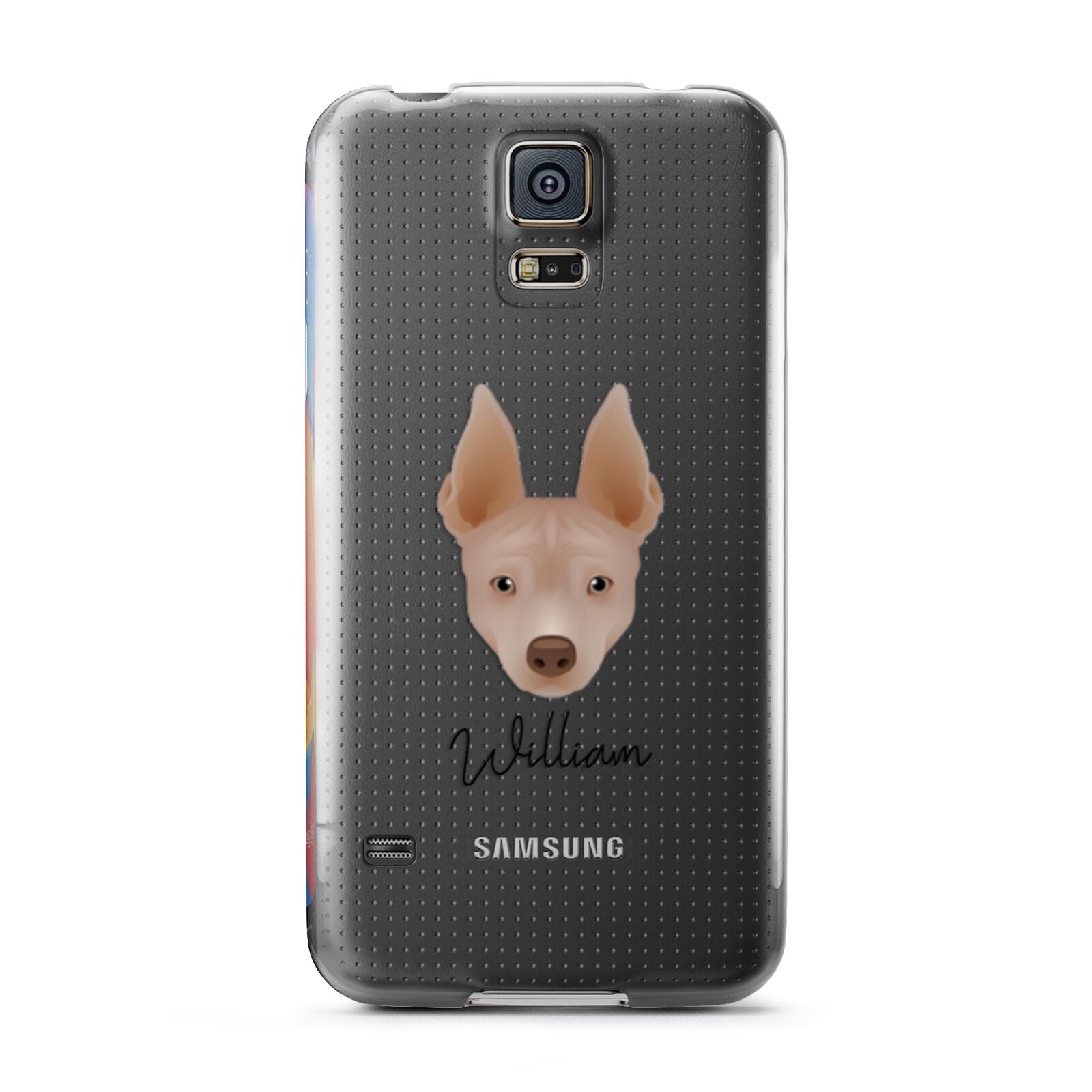 American Hairless Terrier Personalised Samsung Galaxy S5 Case
