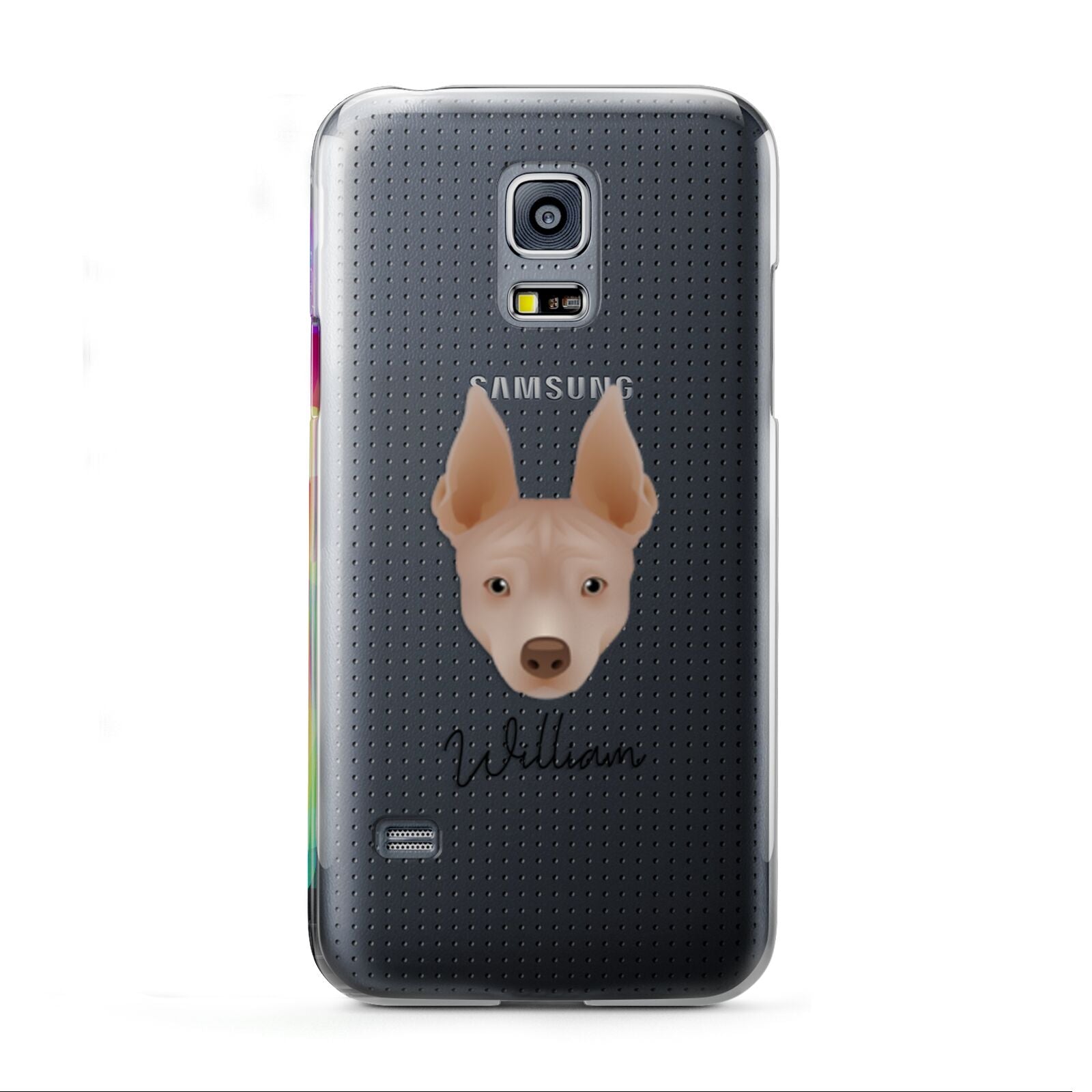 American Hairless Terrier Personalised Samsung Galaxy S5 Mini Case