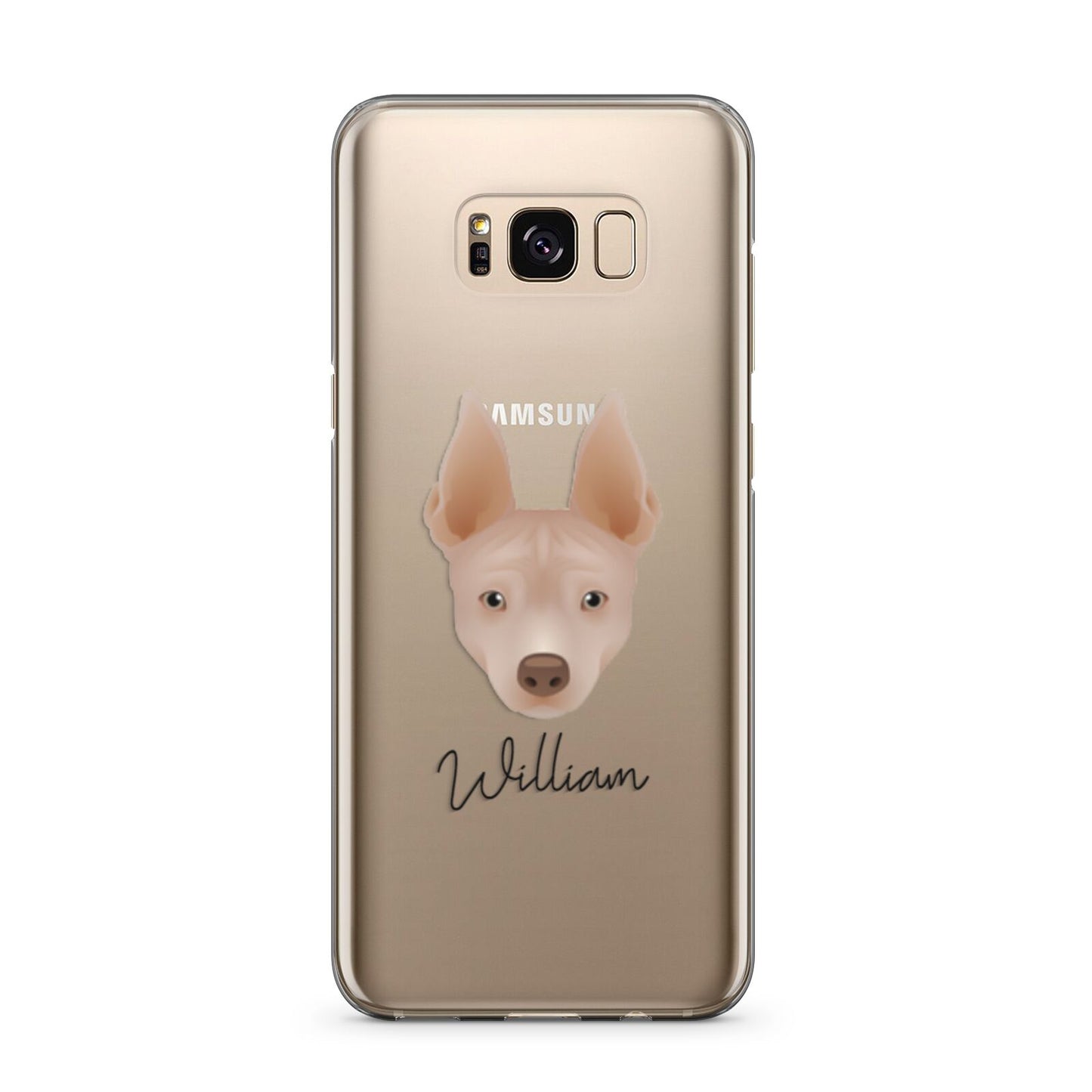 American Hairless Terrier Personalised Samsung Galaxy S8 Plus Case