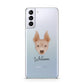 American Hairless Terrier Personalised Samsung S21 Plus Phone Case