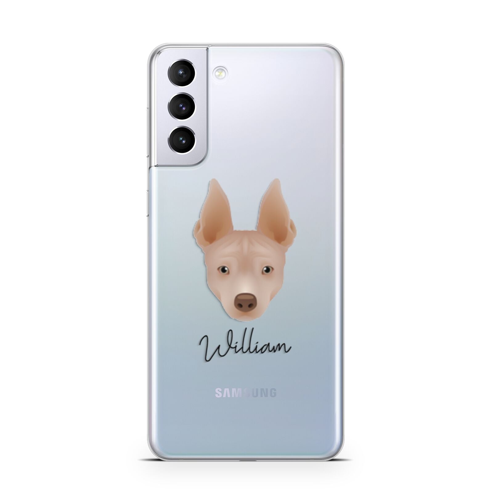 American Hairless Terrier Personalised Samsung S21 Plus Phone Case