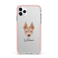 American Hairless Terrier Personalised iPhone 11 Pro Max Impact Pink Edge Case
