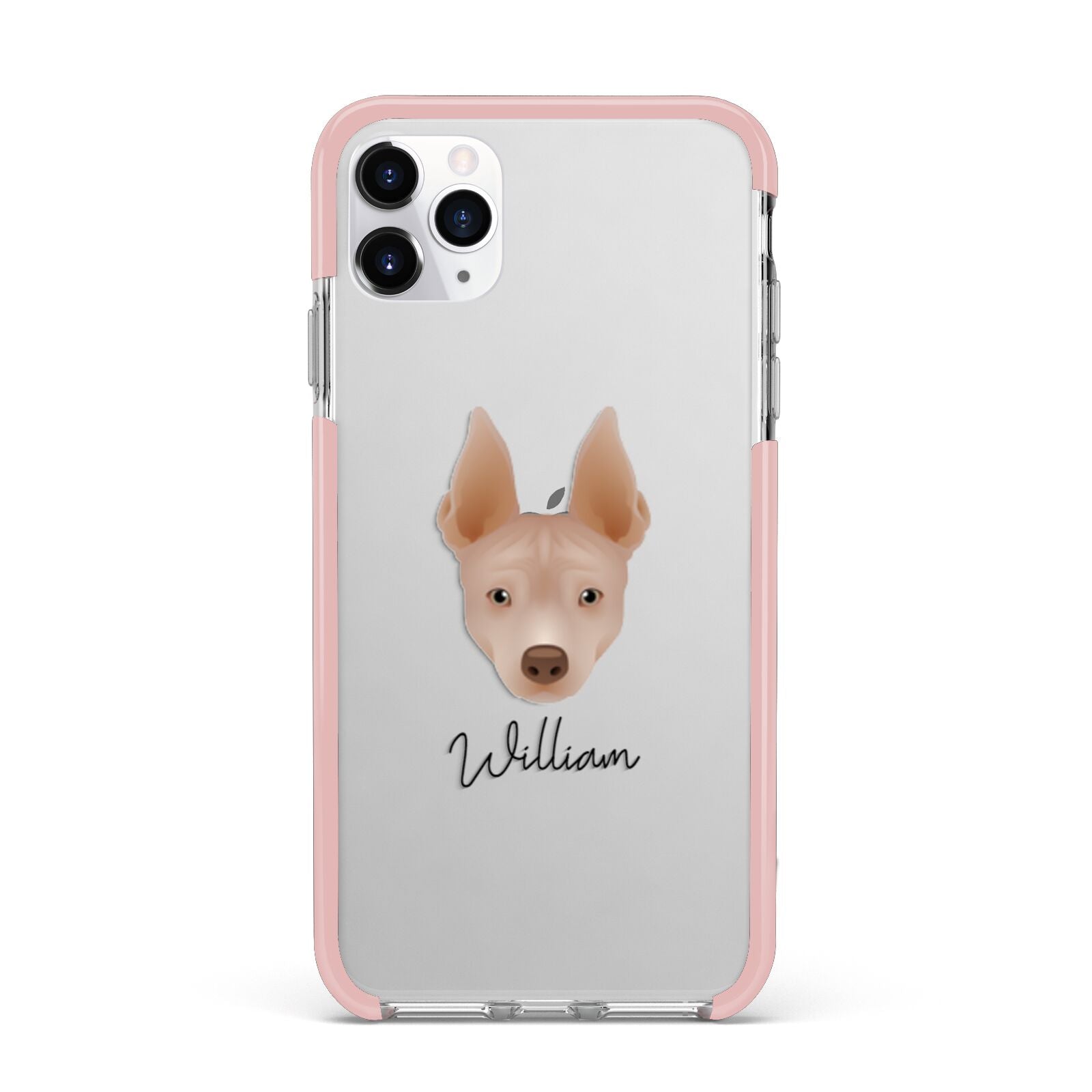 American Hairless Terrier Personalised iPhone 11 Pro Max Impact Pink Edge Case