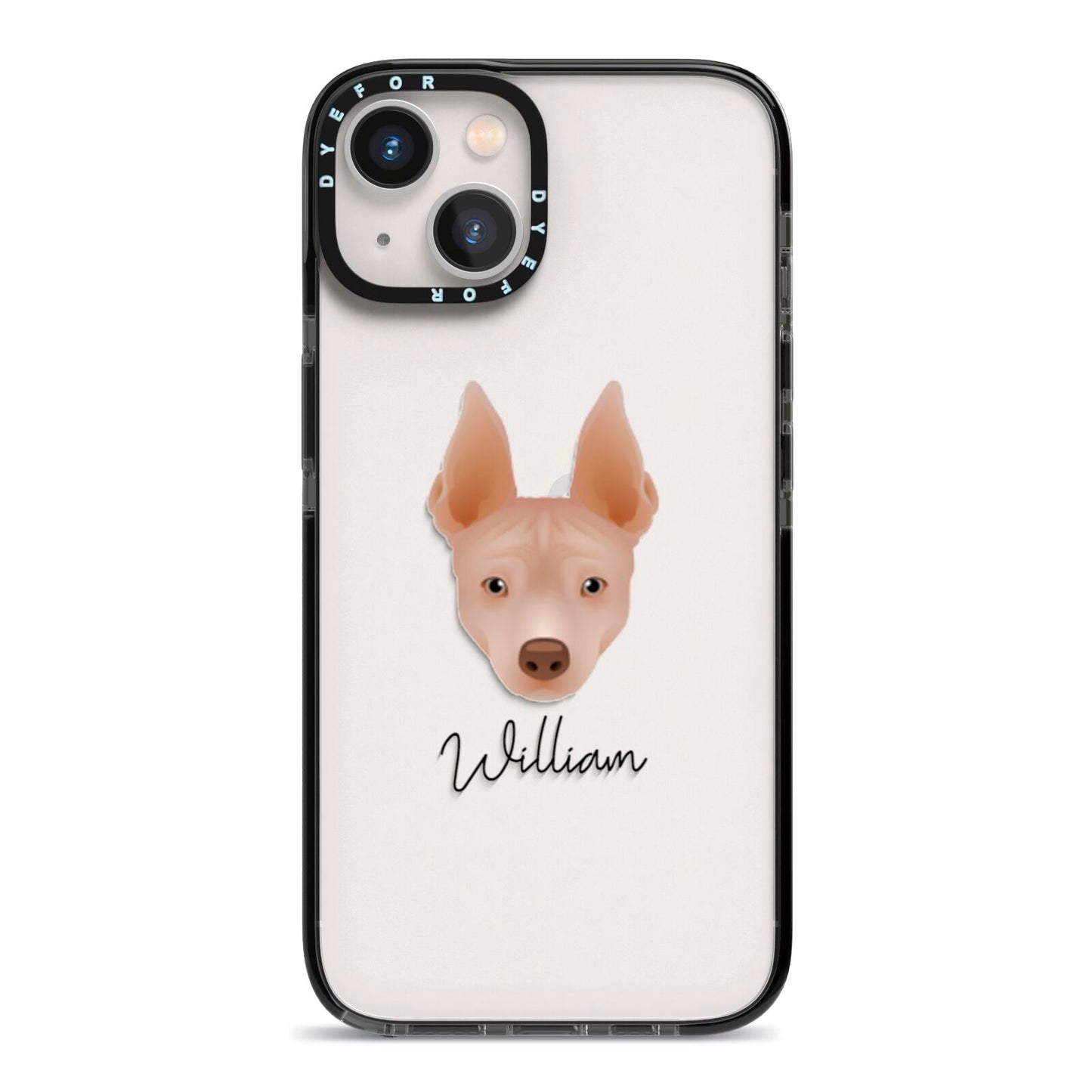 American Hairless Terrier Personalised iPhone 13 Black Impact Case on Silver phone