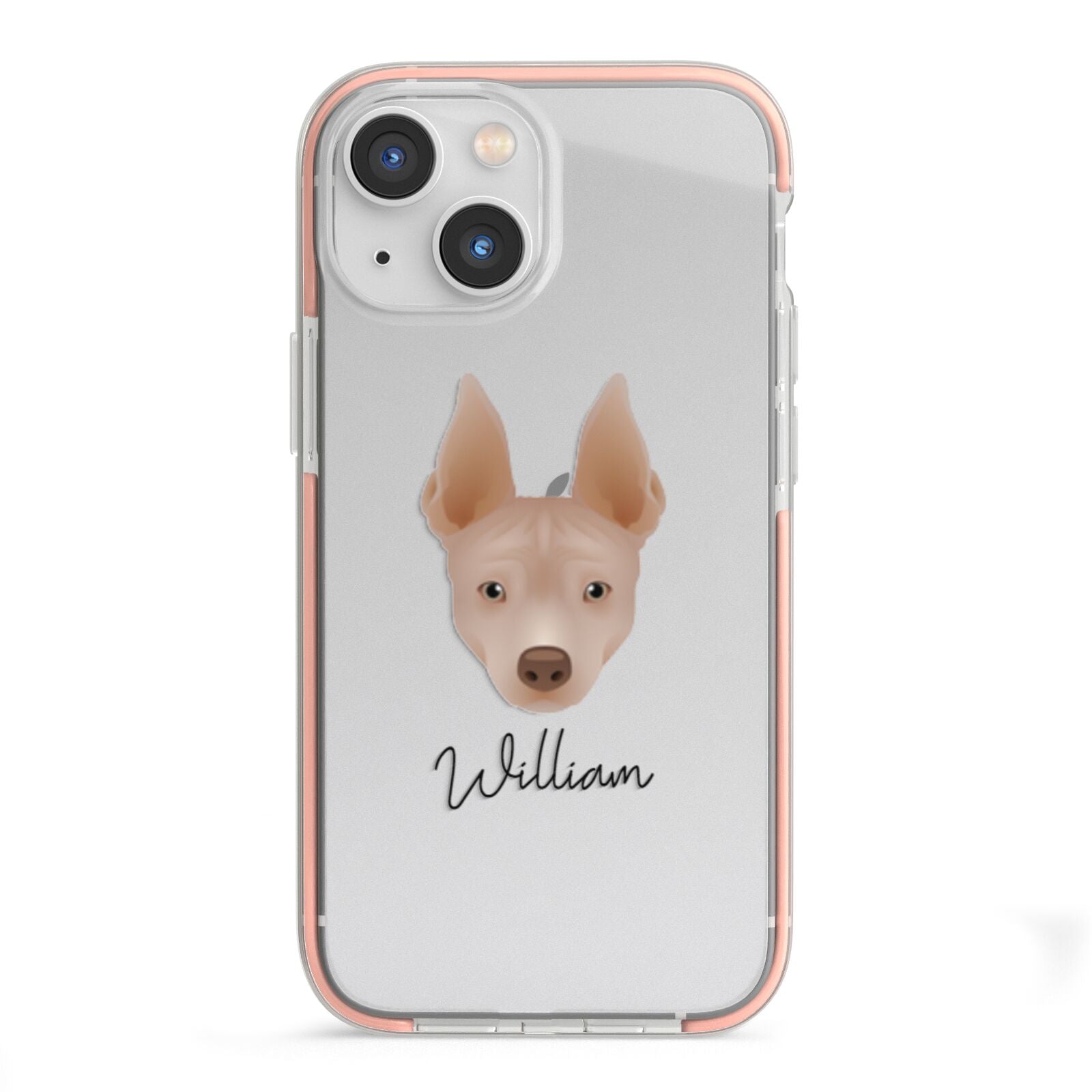 American Hairless Terrier Personalised iPhone 13 Mini TPU Impact Case with Pink Edges