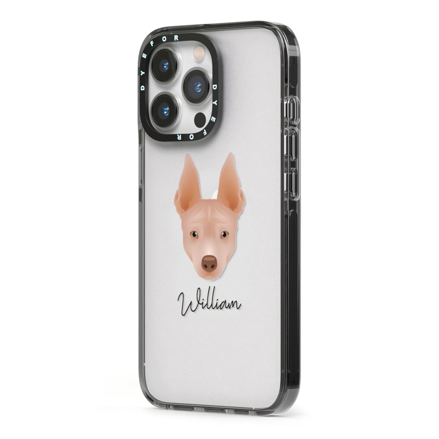 American Hairless Terrier Personalised iPhone 13 Pro Black Impact Case Side Angle on Silver phone