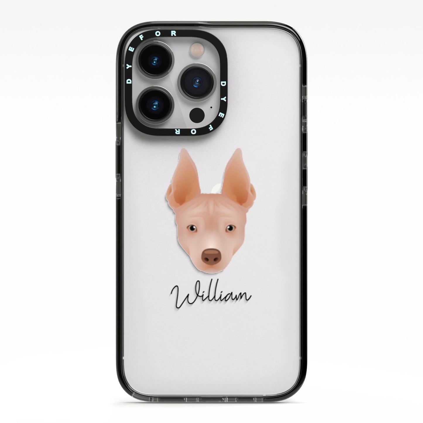 American Hairless Terrier Personalised iPhone 13 Pro Black Impact Case on Silver phone