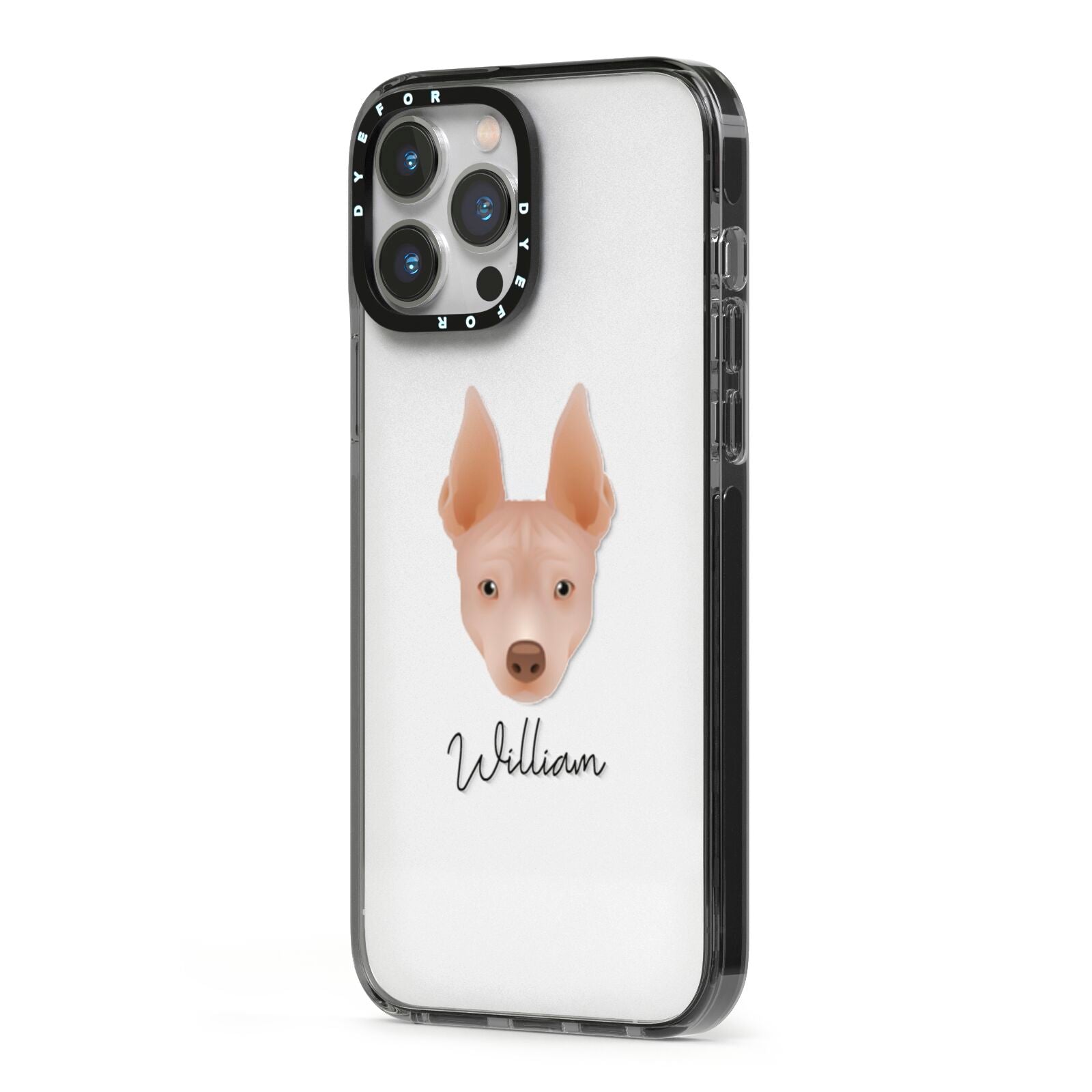 American Hairless Terrier Personalised iPhone 13 Pro Max Black Impact Case Side Angle on Silver phone
