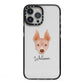 American Hairless Terrier Personalised iPhone 13 Pro Max Black Impact Case on Silver phone