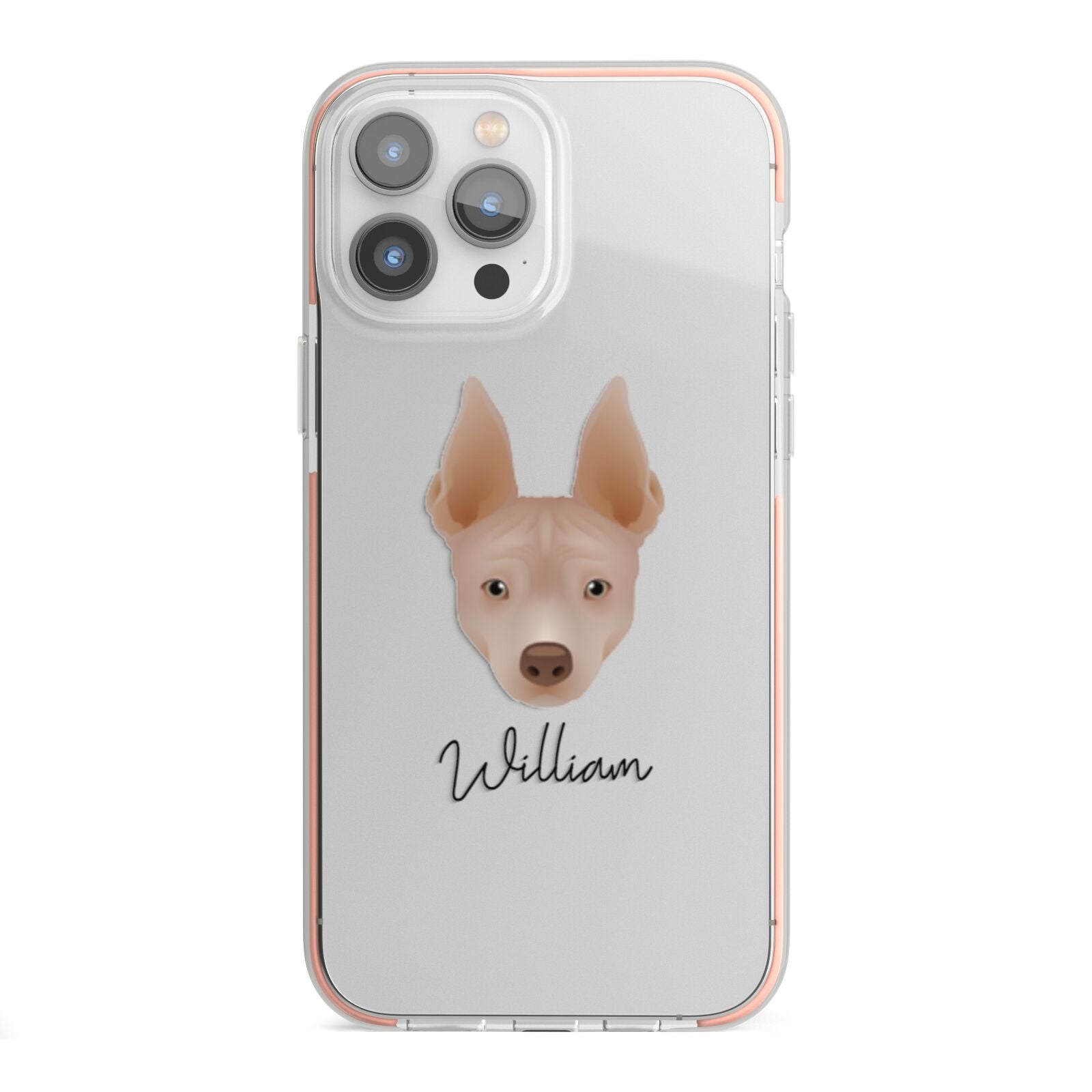 American Hairless Terrier Personalised iPhone 13 Pro Max TPU Impact Case with Pink Edges