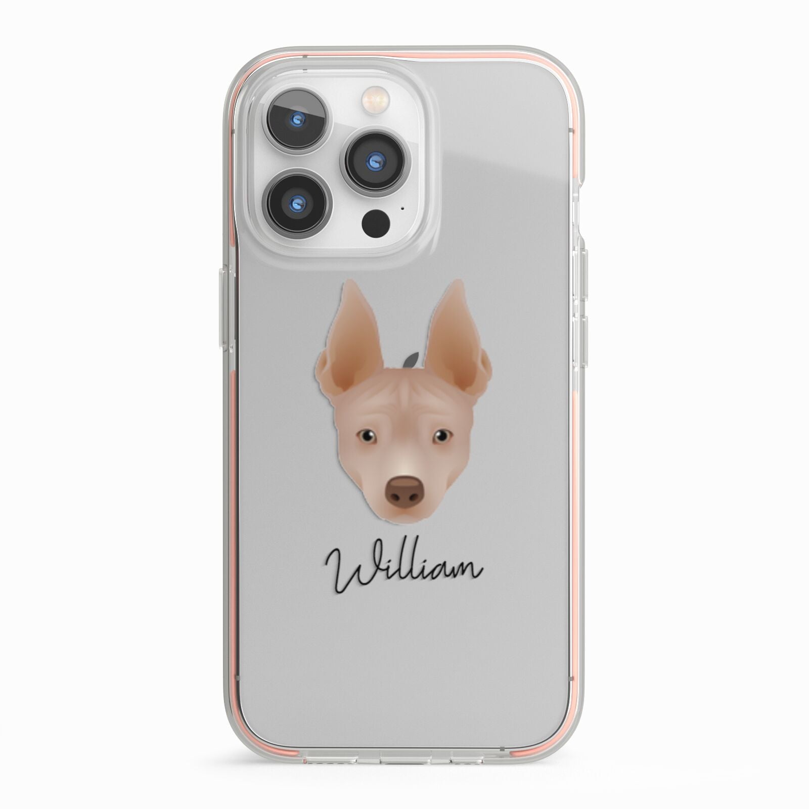 American Hairless Terrier Personalised iPhone 13 Pro TPU Impact Case with Pink Edges
