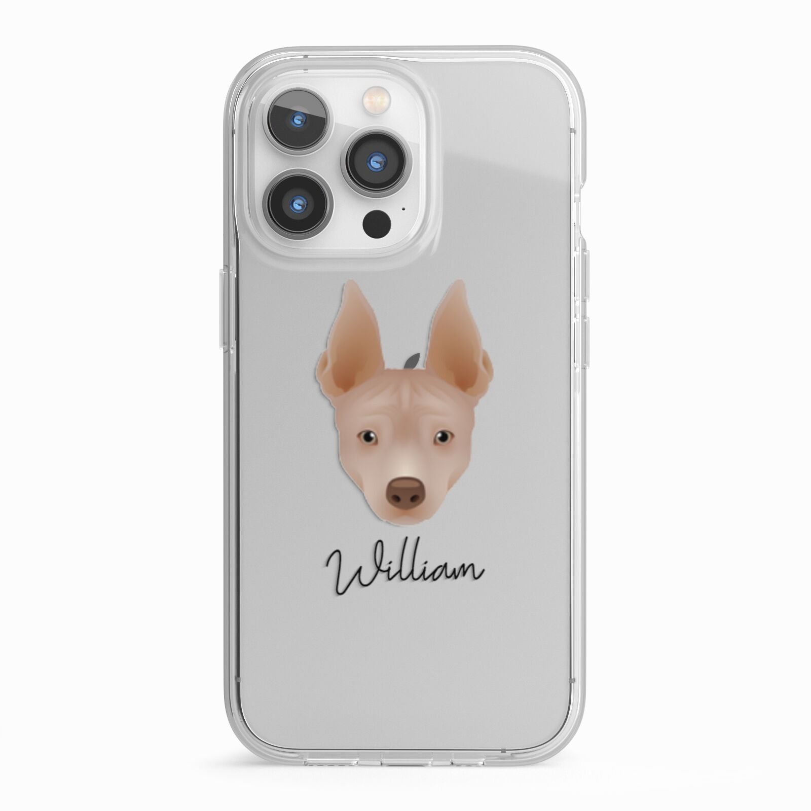 American Hairless Terrier Personalised iPhone 13 Pro TPU Impact Case with White Edges