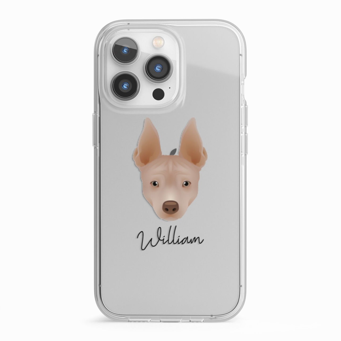 American Hairless Terrier Personalised iPhone 13 Pro TPU Impact Case with White Edges