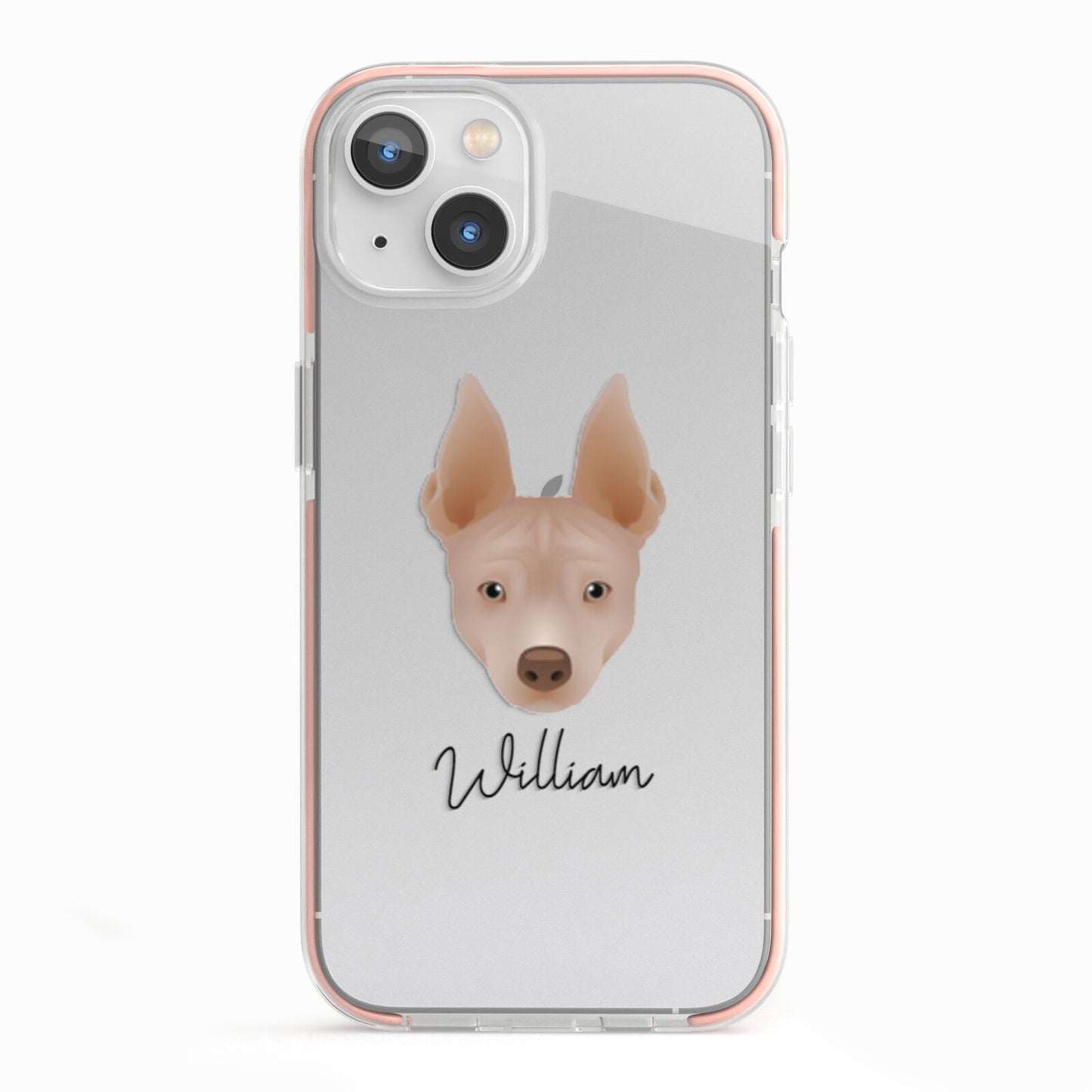 American Hairless Terrier Personalised iPhone 13 TPU Impact Case with Pink Edges