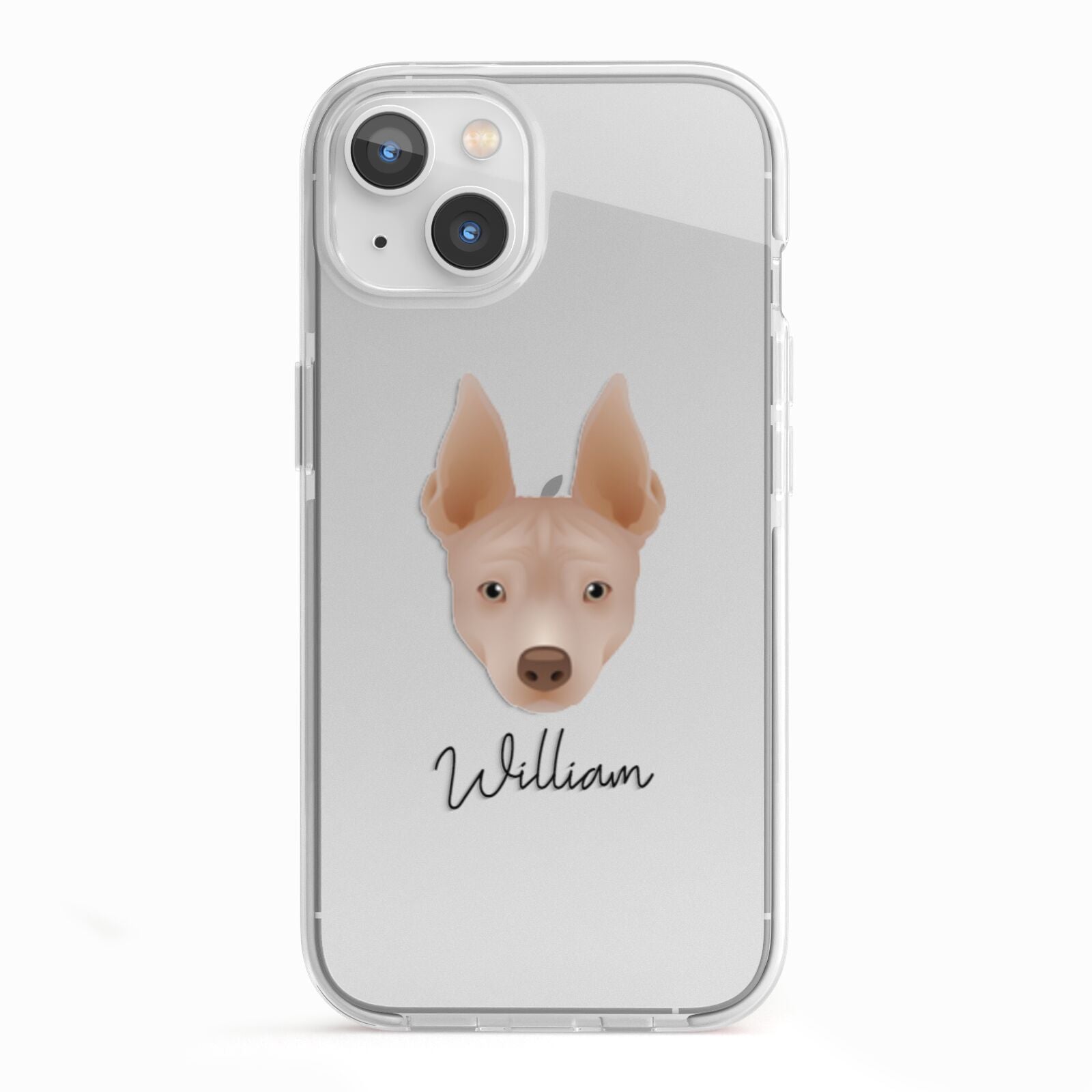 American Hairless Terrier Personalised iPhone 13 TPU Impact Case with White Edges