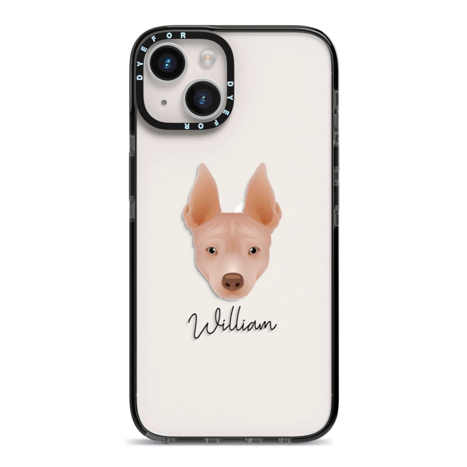 American Hairless Terrier Personalised iPhone 14 Black Impact Case on Silver phone