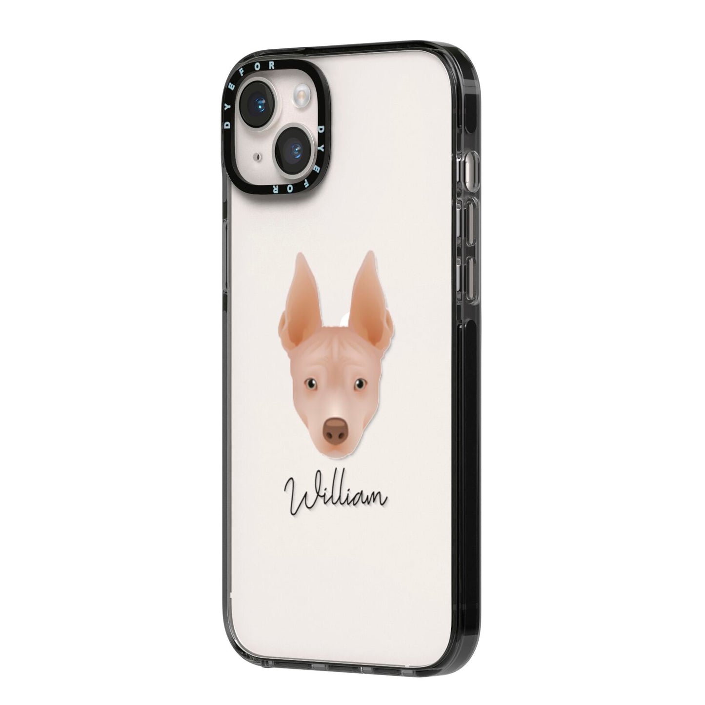American Hairless Terrier Personalised iPhone 14 Plus Black Impact Case Side Angle on Silver phone