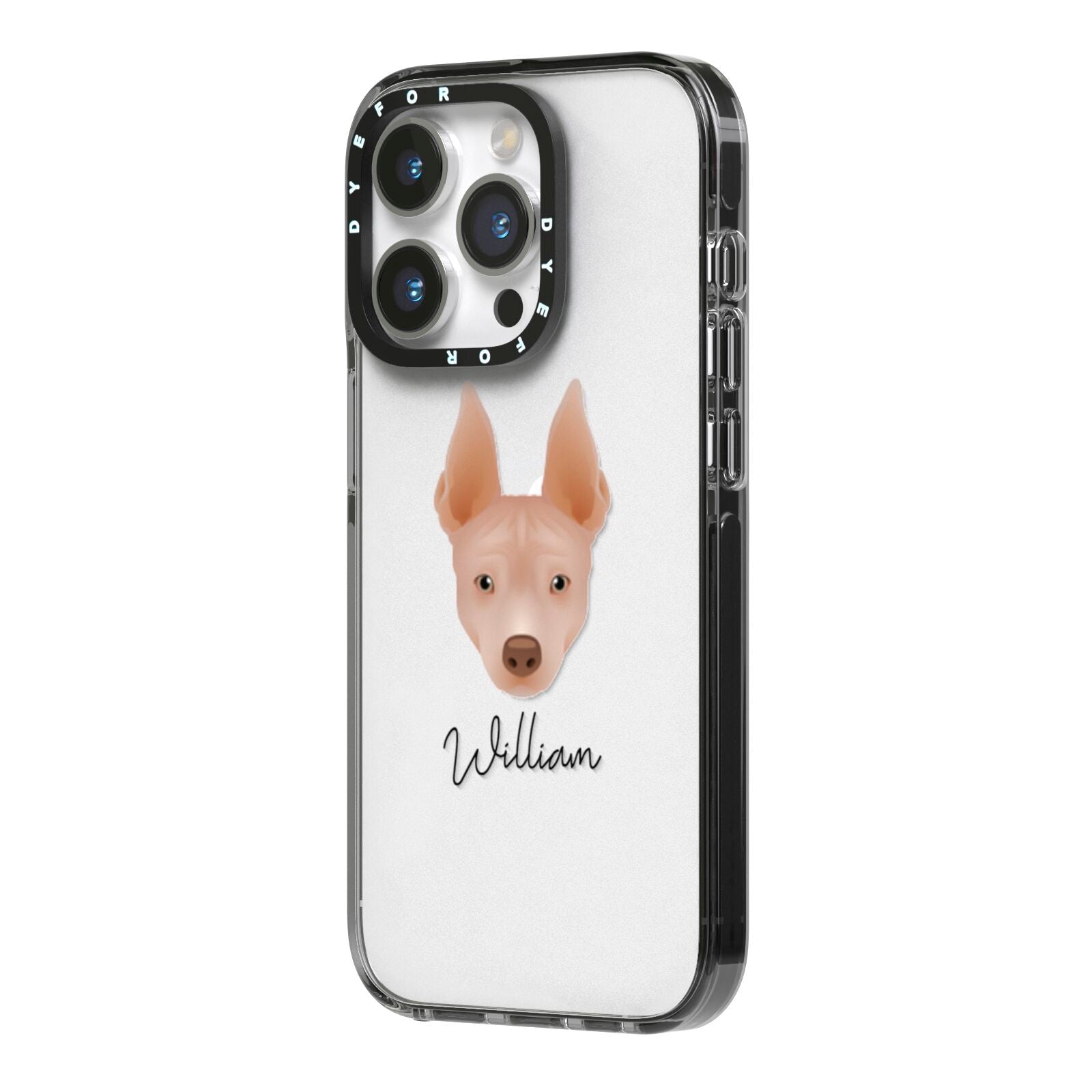 American Hairless Terrier Personalised iPhone 14 Pro Black Impact Case Side Angle on Silver phone