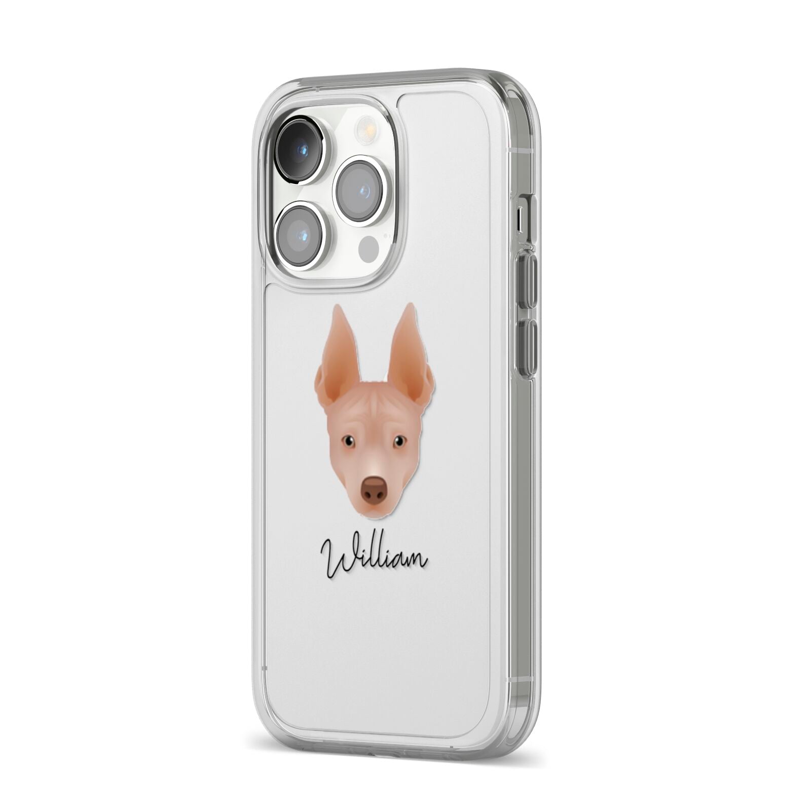 American Hairless Terrier Personalised iPhone 14 Pro Clear Tough Case Silver Angled Image