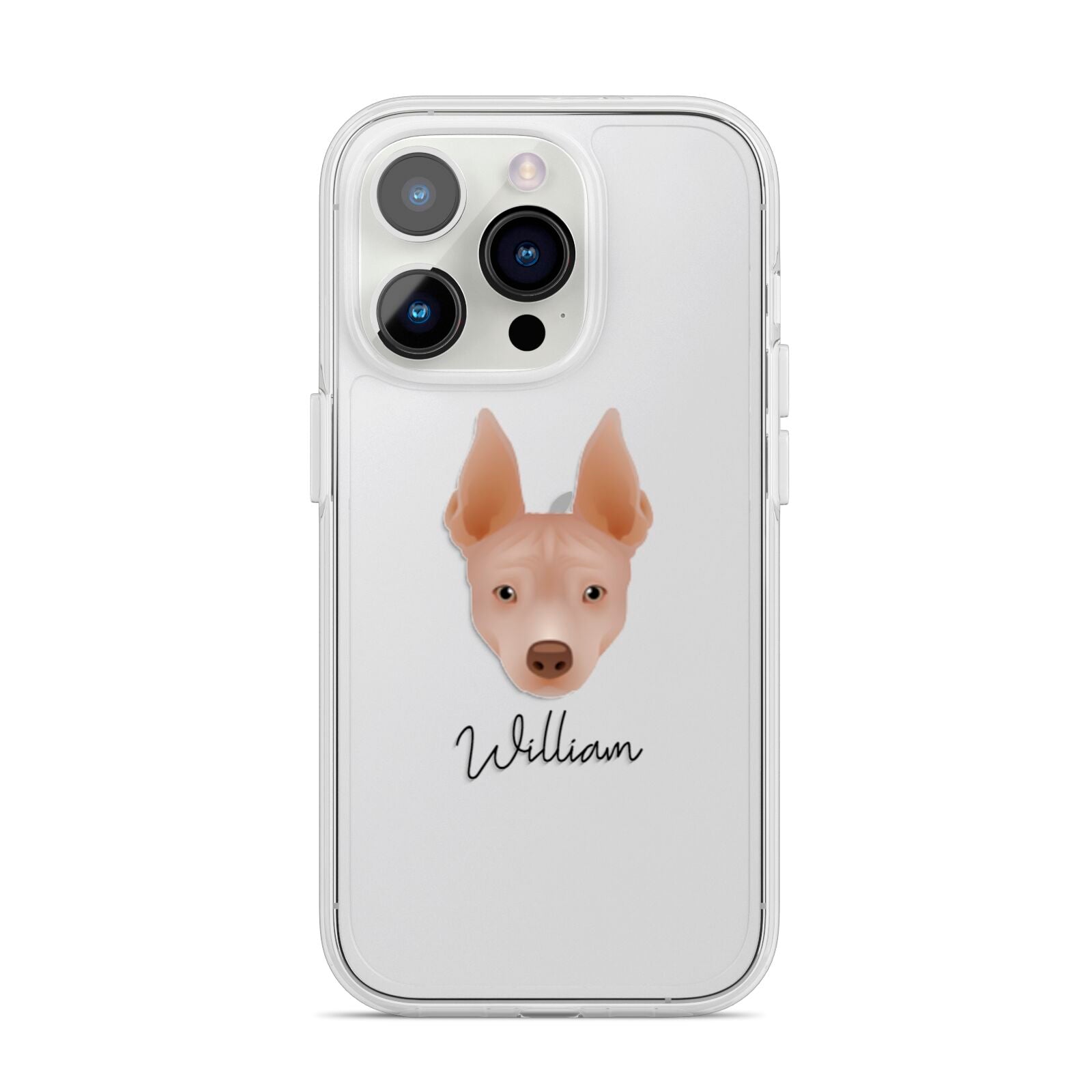 American Hairless Terrier Personalised iPhone 14 Pro Clear Tough Case Silver