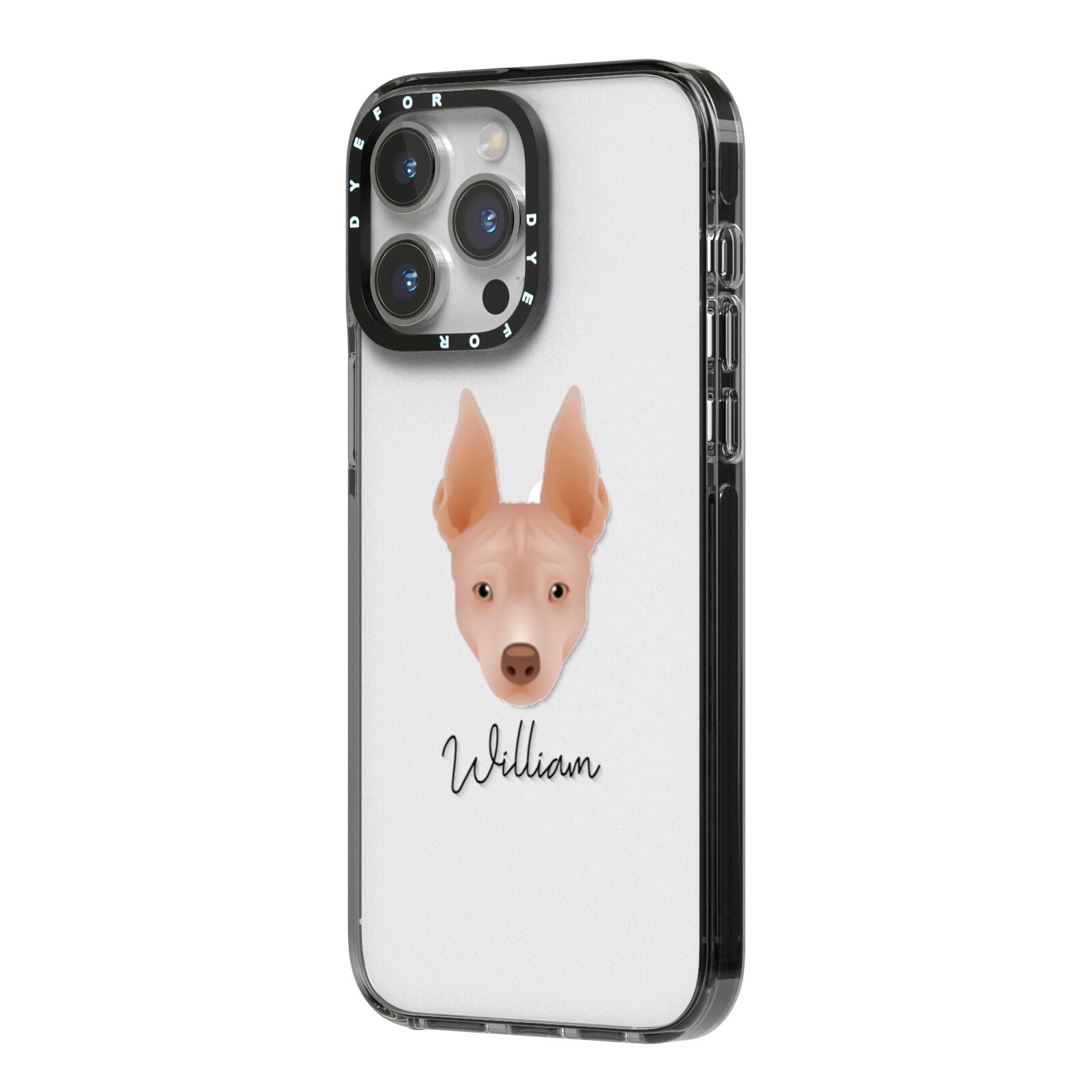 American Hairless Terrier Personalised iPhone 14 Pro Max Black Impact Case Side Angle on Silver phone