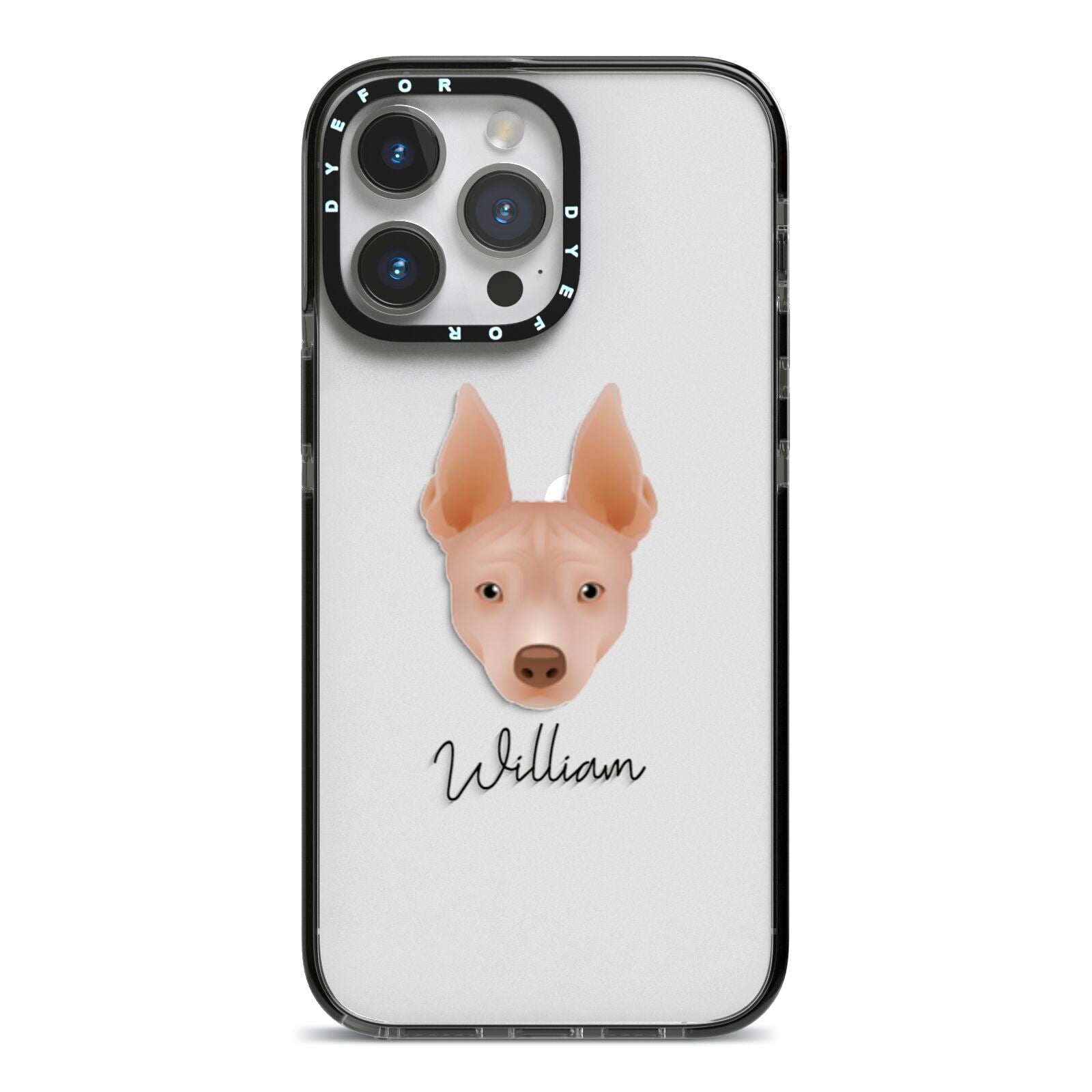 American Hairless Terrier Personalised iPhone 14 Pro Max Black Impact Case on Silver phone