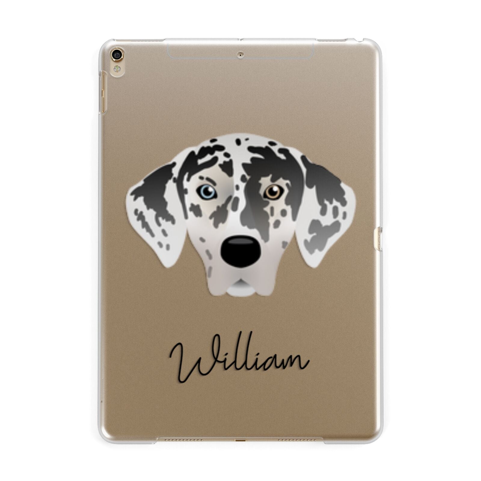 American Leopard Hound Personalised Apple iPad Gold Case