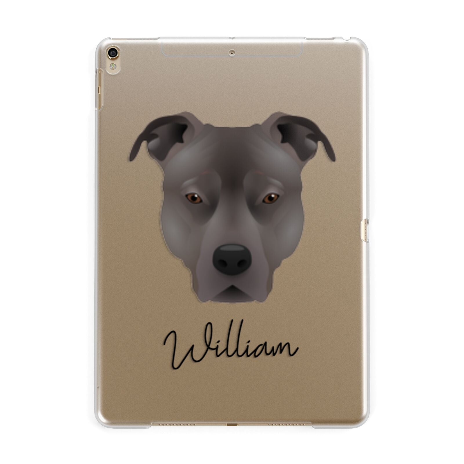 American Pit Bull Terrier Personalised Apple iPad Gold Case