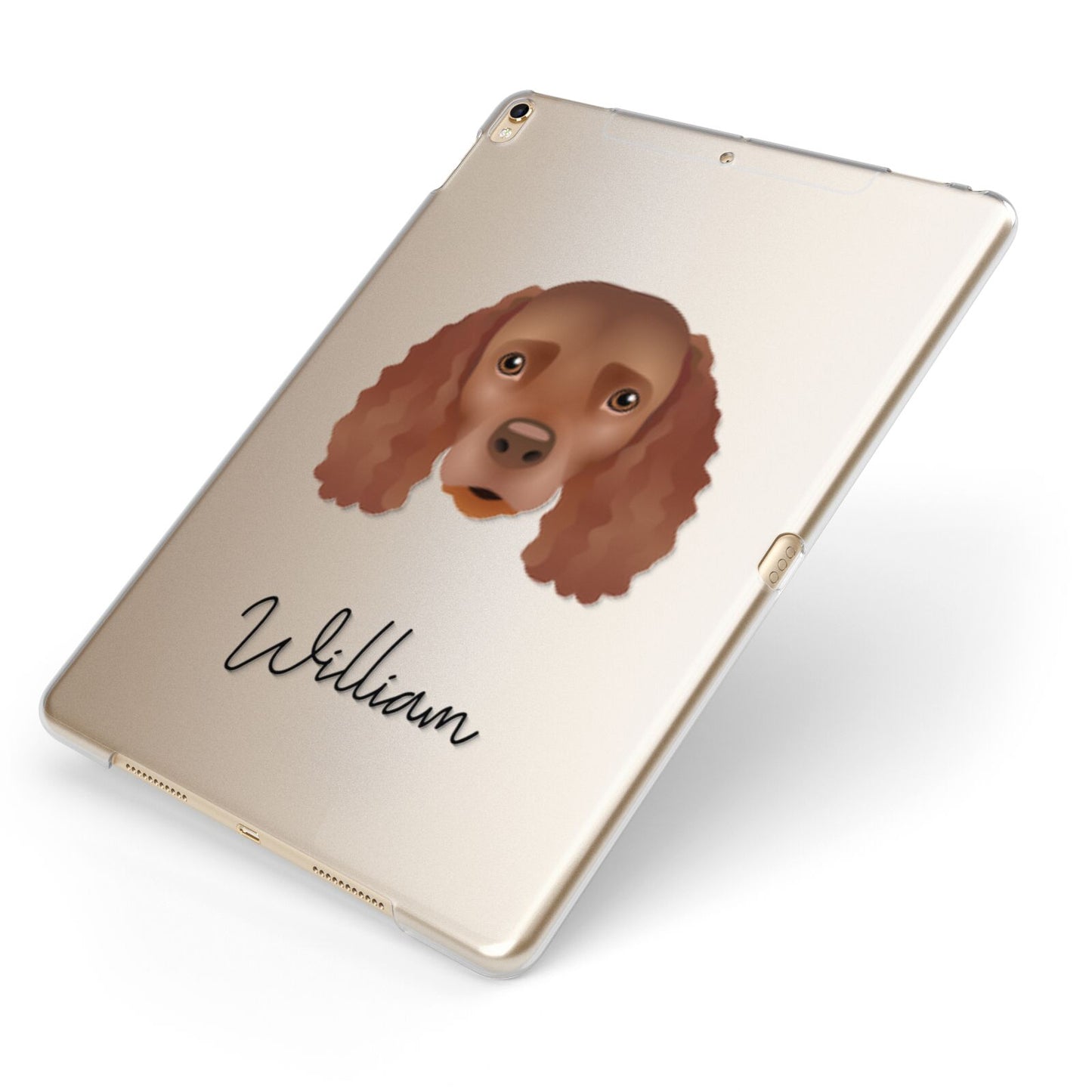 American Water Spaniel Personalised Apple iPad Case on Gold iPad Side View