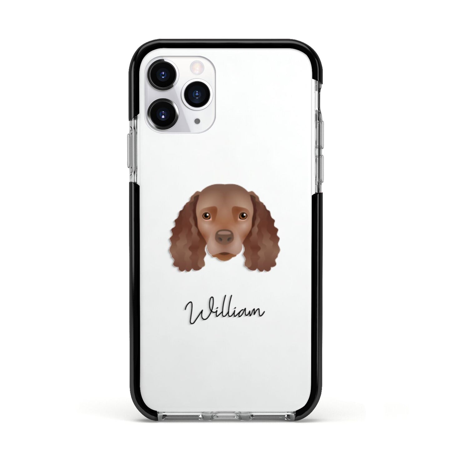 American Water Spaniel Personalised Apple iPhone 11 Pro in Silver with Black Impact Case