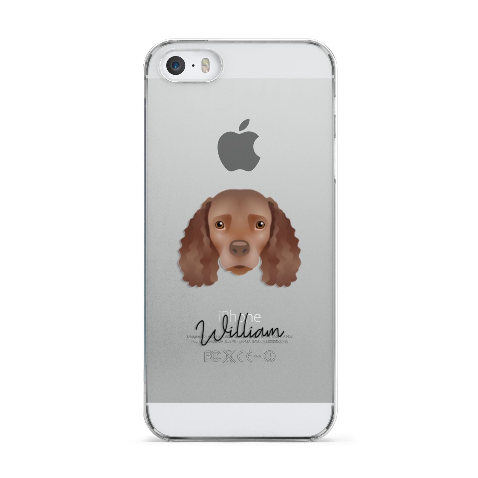 American Water Spaniel Personalised Apple iPhone 5 Case