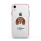 American Water Spaniel Personalised Apple iPhone XR Impact Case Pink Edge on Silver Phone