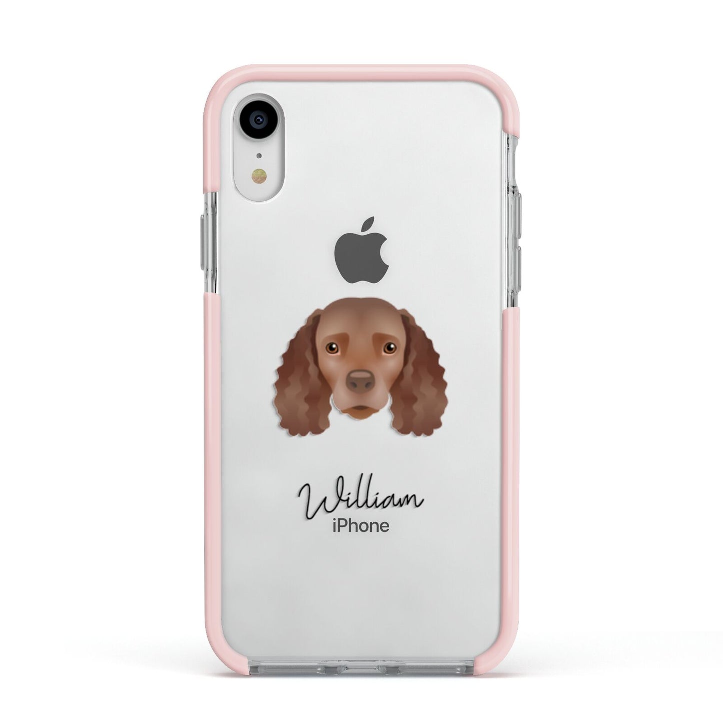 American Water Spaniel Personalised Apple iPhone XR Impact Case Pink Edge on Silver Phone