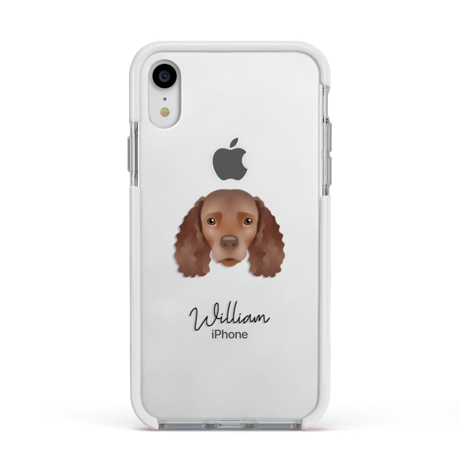 American Water Spaniel Personalised Apple iPhone XR Impact Case White Edge on Silver Phone