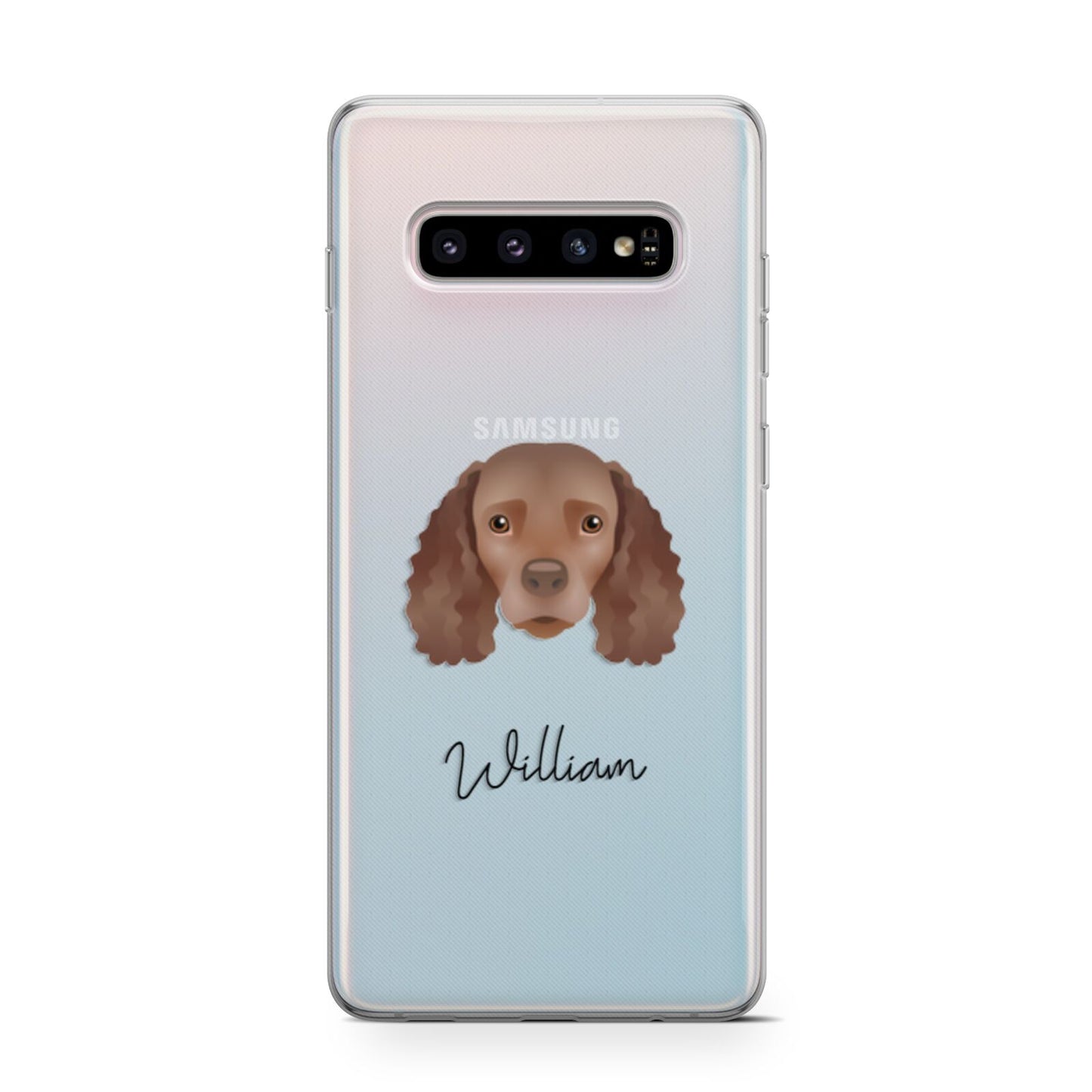 American Water Spaniel Personalised Samsung Galaxy S10 Case
