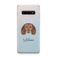 American Water Spaniel Personalised Samsung Galaxy S10 Plus Case