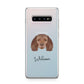 American Water Spaniel Personalised Samsung Galaxy S10 Plus Case