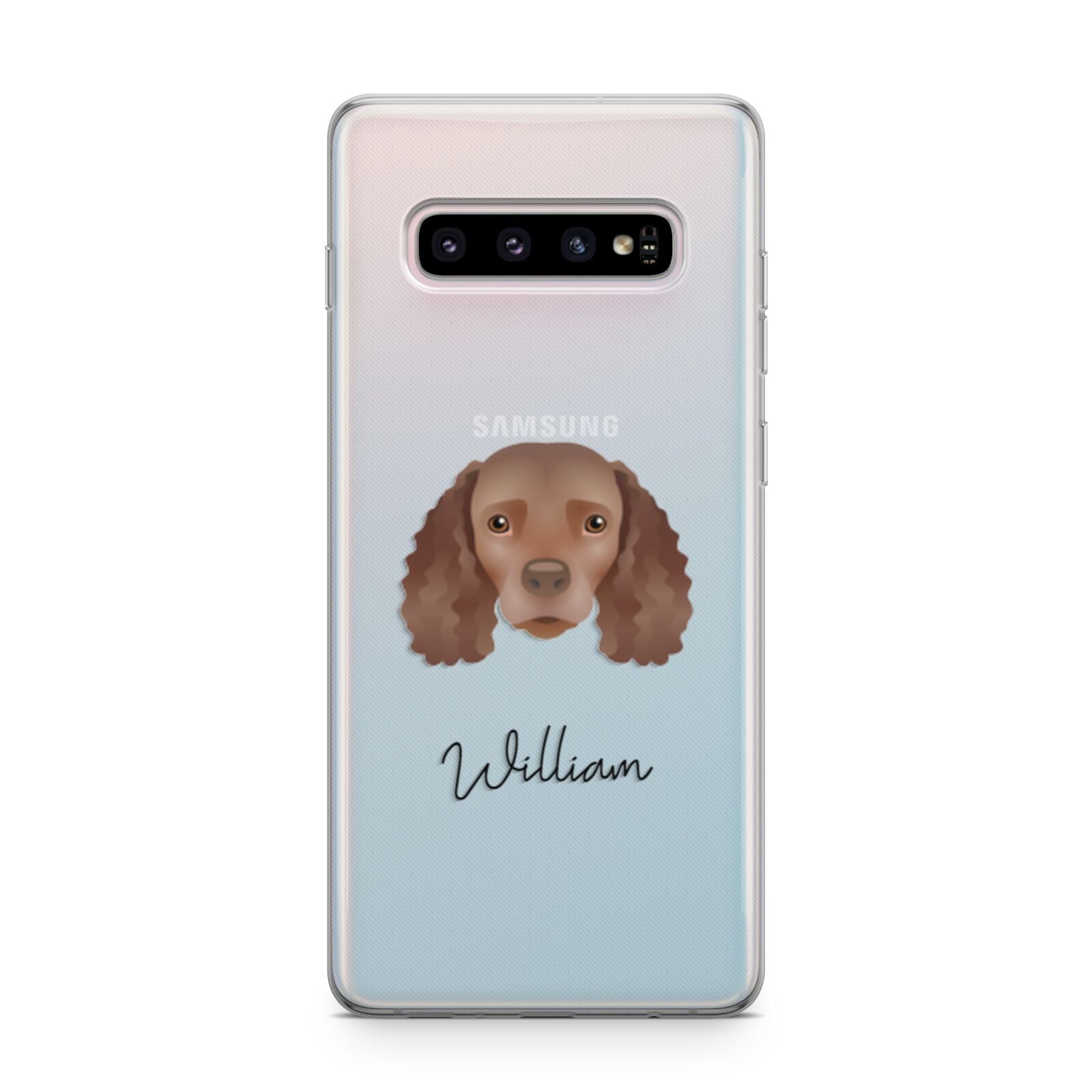 American Water Spaniel Personalised Samsung Galaxy S10 Plus Case